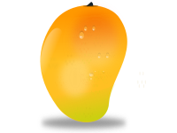 mango fruit