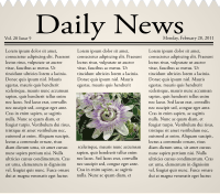 Newspaper icon