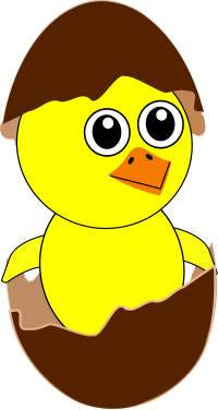 Funny Chick Cartoon Newborn