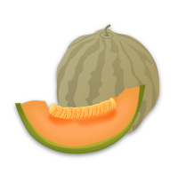 Musk Melon