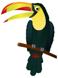 Toucan