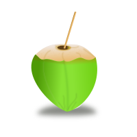 coconut icon