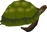 turtle