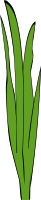 Grass Blades and Clumps 1