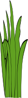 Grass Blades and Clumps 2