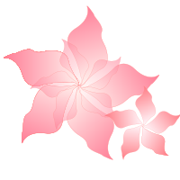 pink flower