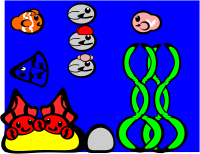 sea