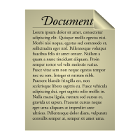 Document icon 