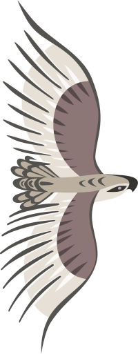 Golden Eagle