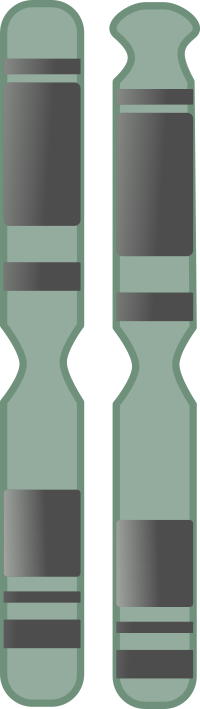 Chromosome