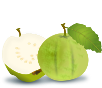 Guava