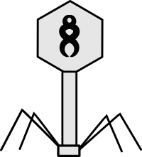 Bacteriophage