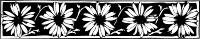daisy border