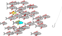 fishes 