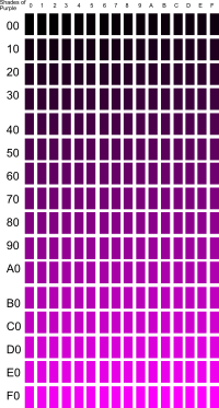 Shades of Purple