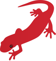 salamander