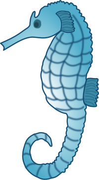 Seahorse