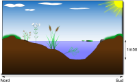 mare naturelle - natural pond