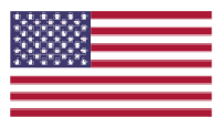 Pixelated Flag