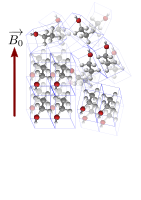 ssNMR partially ordered material
