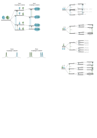 NMR scalar coupling schemes