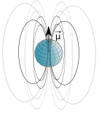 NMR spin field lines