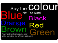 say the colour not the word