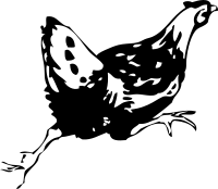 running hen