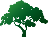 Albero