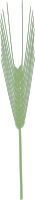 barley