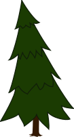 Spruce