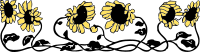 sunflower border