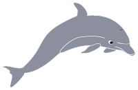 dolphin enrique meza remix
