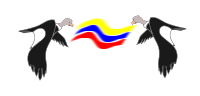 Condor Colombiano