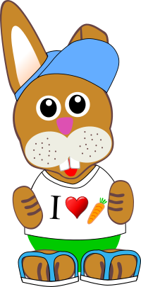 Funny bunny with summer fashion wear