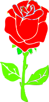 Rosa