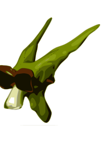AM Alien Head 1
