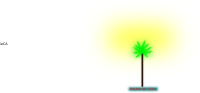 PALMA de CERA