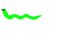 Worm / Gusano