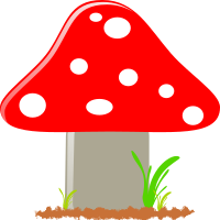 Mushroom / Seta