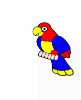 pajaro