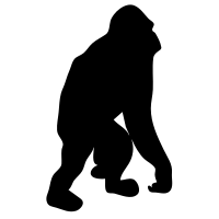 Orangutan contour