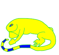iguana