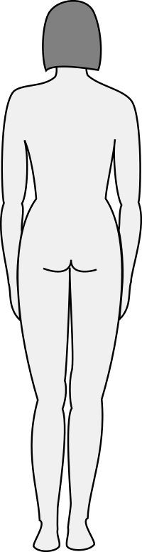 Female body silhouette - back