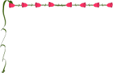 brd rose1