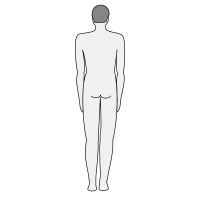 Male body silhouette - back