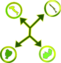 International Network (1)