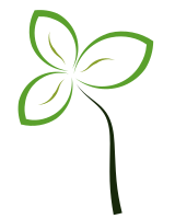 Abstract Flower