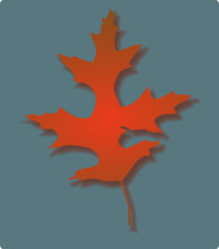 Oak Leaf - Autumn