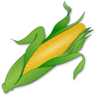 Corn